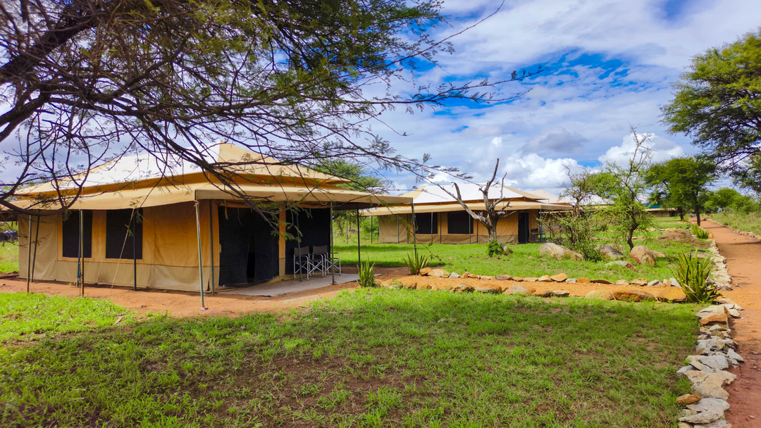 Camping under the stars - Amboseli Wildebeest Camp